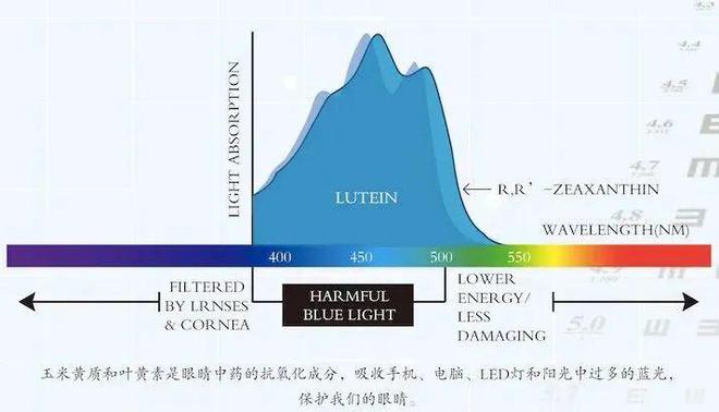 不开电子屏幕谁来救救我的眼睛？凯发K8国际版一天18个小时离(图7)